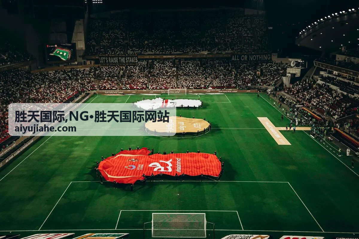 NG·胜天国际网站资料查阅场景