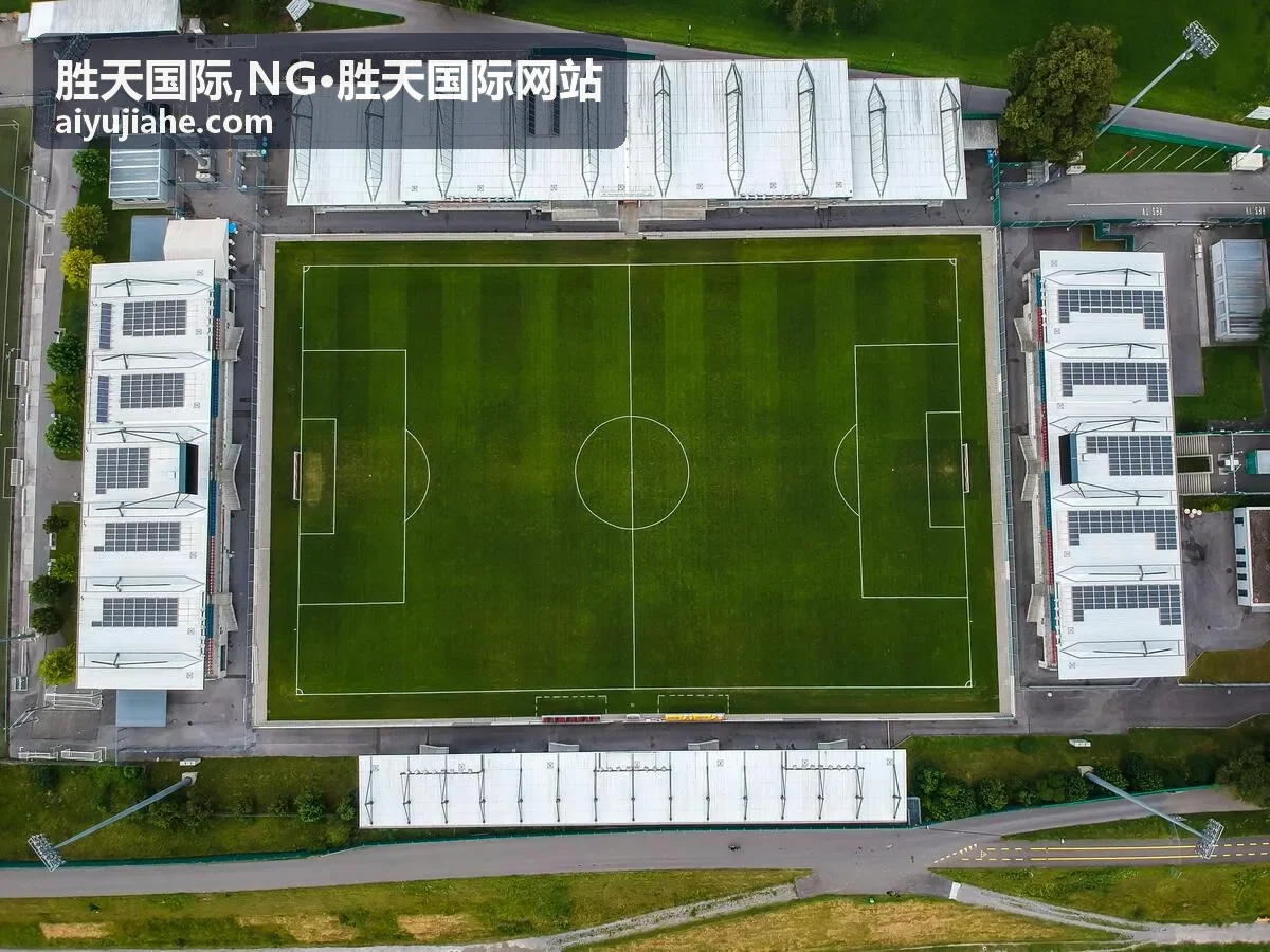 胜天国际合作咨询场景